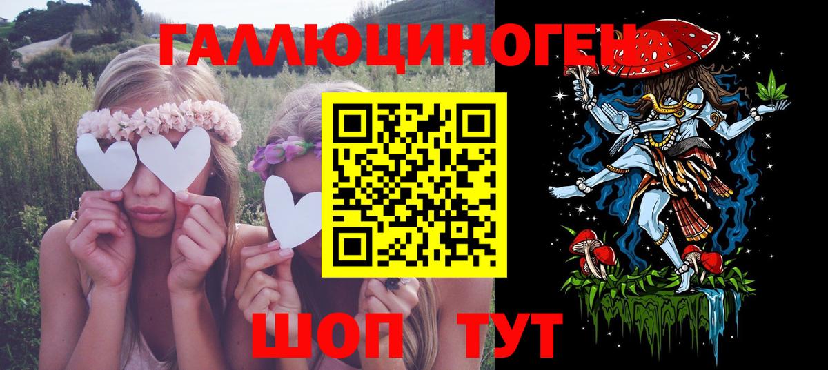 Галлюциногенные грибы Psilocybine cubensis Буйнакск